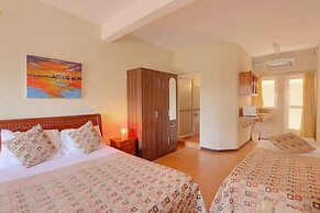 L'Oiseau de l'Océan