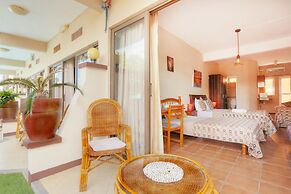 L'Oiseau de l'Océan