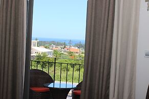 L'Oiseau de l'Océan