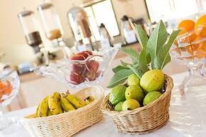 L'Oiseau de l'Océan