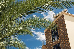 L'Oiseau de l'Océan