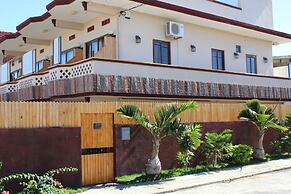 L'Oiseau de l'Océan