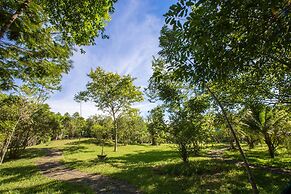 Thanh Tan Hot Springs By Fusion