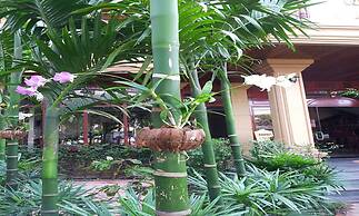 Angkor Vattanak Pheap Hotel