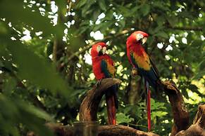 Piedra de Agua Hotel Boutique Palenque