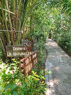 Piedra de Agua Hotel Boutique Palenque