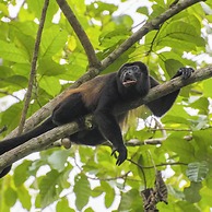 Piedra de Agua Hotel Boutique Palenque