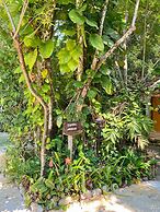 Piedra de Agua Hotel Boutique Palenque