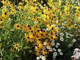 Auberge Cap-aux-Corbeaux