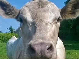 Battens Farm Cottages - B&B and Self-catering Accommodation