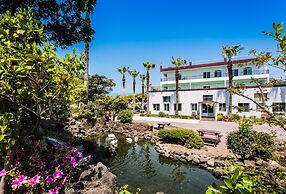 Olleh Windmill Pension & Guesthouse - Hostel