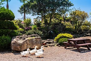 Olleh Windmill Pension & Guesthouse - Hostel