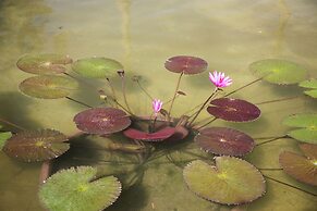 Samanea Beach Resort & Spa