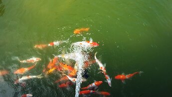 Samanea Beach Resort & Spa