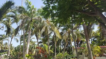 Oasis Hotel Las Terrenas