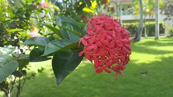 Oasis Hotel Las Terrenas