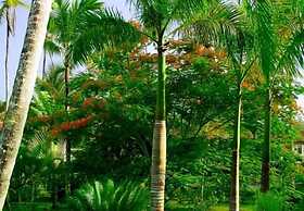 Oasis Hotel Las Terrenas