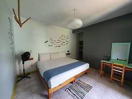 Un sueno Valle de Huajes