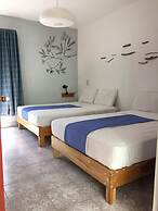 Un sueno Valle de Huajes