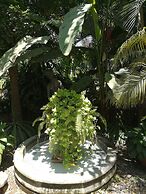 Hotel & Temazcal Hacienda de Melaque