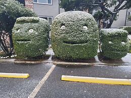 Ocean Terrace Condominiums