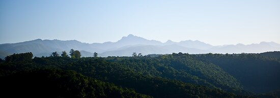 Tamodi Lodge and Stables