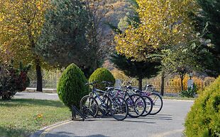 Shamakhi Palace Sharadil Hotel