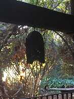 Hotel Boutique Pinar