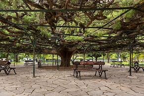 My Suite Lisbon Serviced Apartments