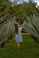 Hotel Hacienda Ticum