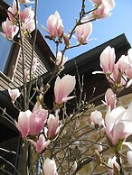 Orizontes Tzoumerkon