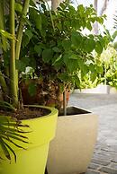 Numero Uno Beach House