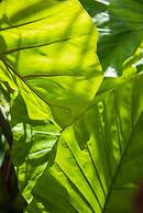 Numero Uno Beach House