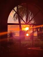 Hotel Delfin Playa Bejuco