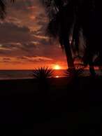 Hotel Delfin Playa Bejuco