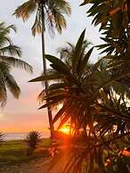 Hotel Delfin Playa Bejuco