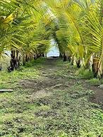 Hotel Delfin Playa Bejuco