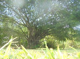 Hotel Delfin Playa Bejuco