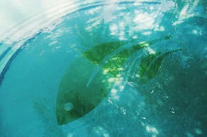 Hotel El Sitio Playa Venao