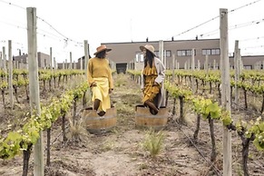 Auberge du Vin, a Tribute Portfolio Hotel, Tupungato