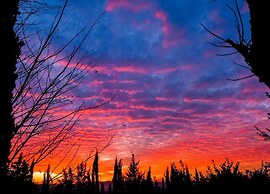 Castello di Montalbano