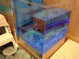 Au Coin de la Berge Gite Touristique