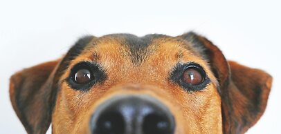 Candlewood Suites Furth by IHG