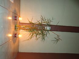 Posada Río Celeste La Amistad