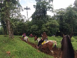 Posada Río Celeste La Amistad