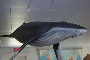 Auberge Internationale Forillon - Hostel