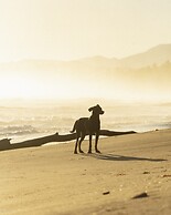 Las Canas Beach Retreat