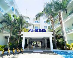 Anesis