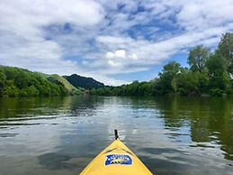 Whanganui River Top 10 Holiday Park