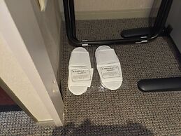 Tokyo Dai-ichi Hotel Nishiki